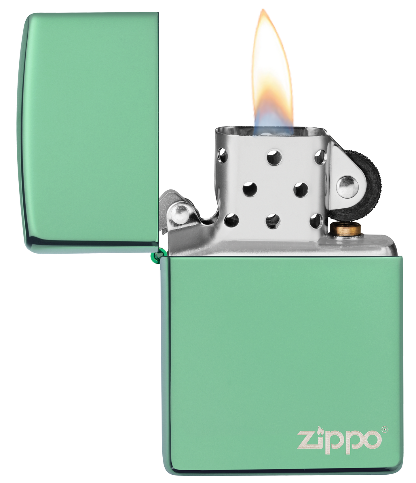 Chameleon with Zippo logo