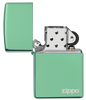 Chameleon with Zippo logo
