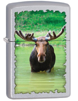 Souvenir Canada Moose freeshipping - Zippo.ca